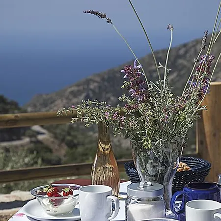 Christos Place-anidri