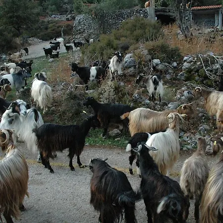 Ferienhaus Christos Place-anidri *